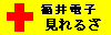 福井電子見れるさ